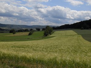 Rhoen-Radmarathon Nichtraucher 594